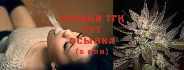 дмт Нягань