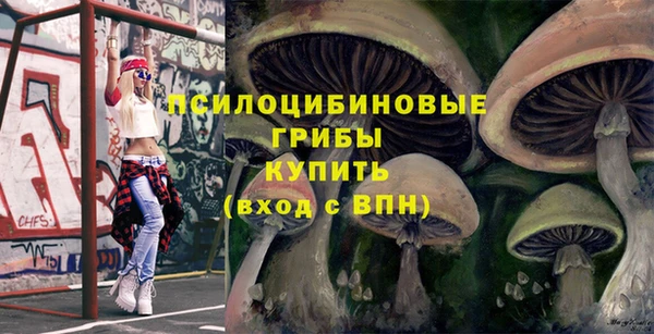 ALPHA PVP Нязепетровск