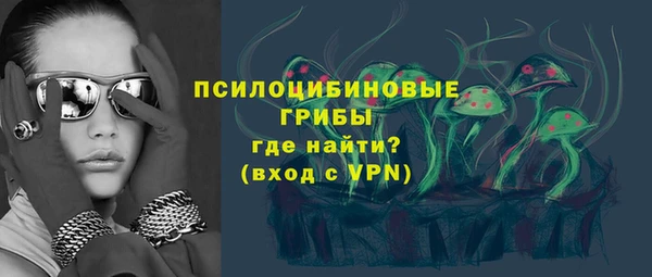метадон Няндома