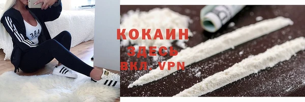 дмт Нягань