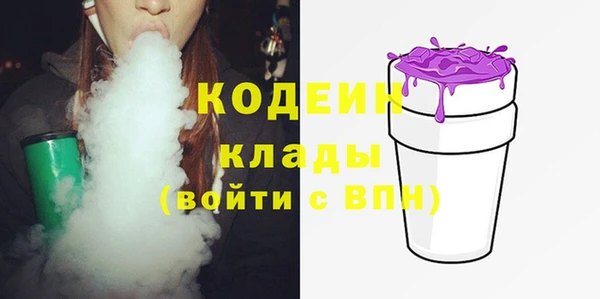 метадон Няндома