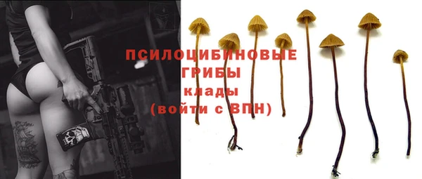 дмт Нягань