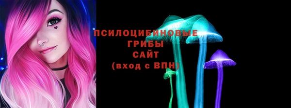 дмт Нягань