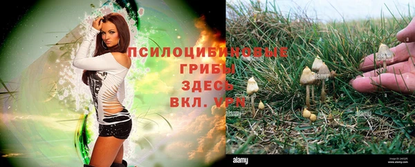 метадон Няндома