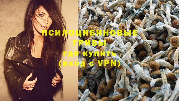 дмт Нягань