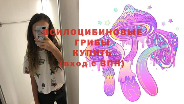 ALPHA PVP Нязепетровск