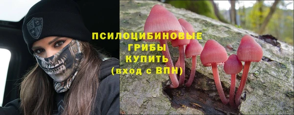 дмт Нягань