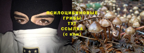 дмт Нягань
