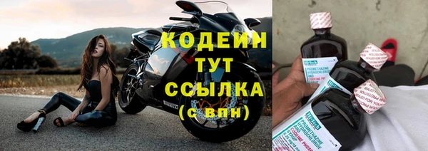 дмт Нягань