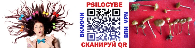 Псилоцибиновые грибы MAGIC MUSHROOMS  mega рабочий сайт  Малаховка  наркошоп 